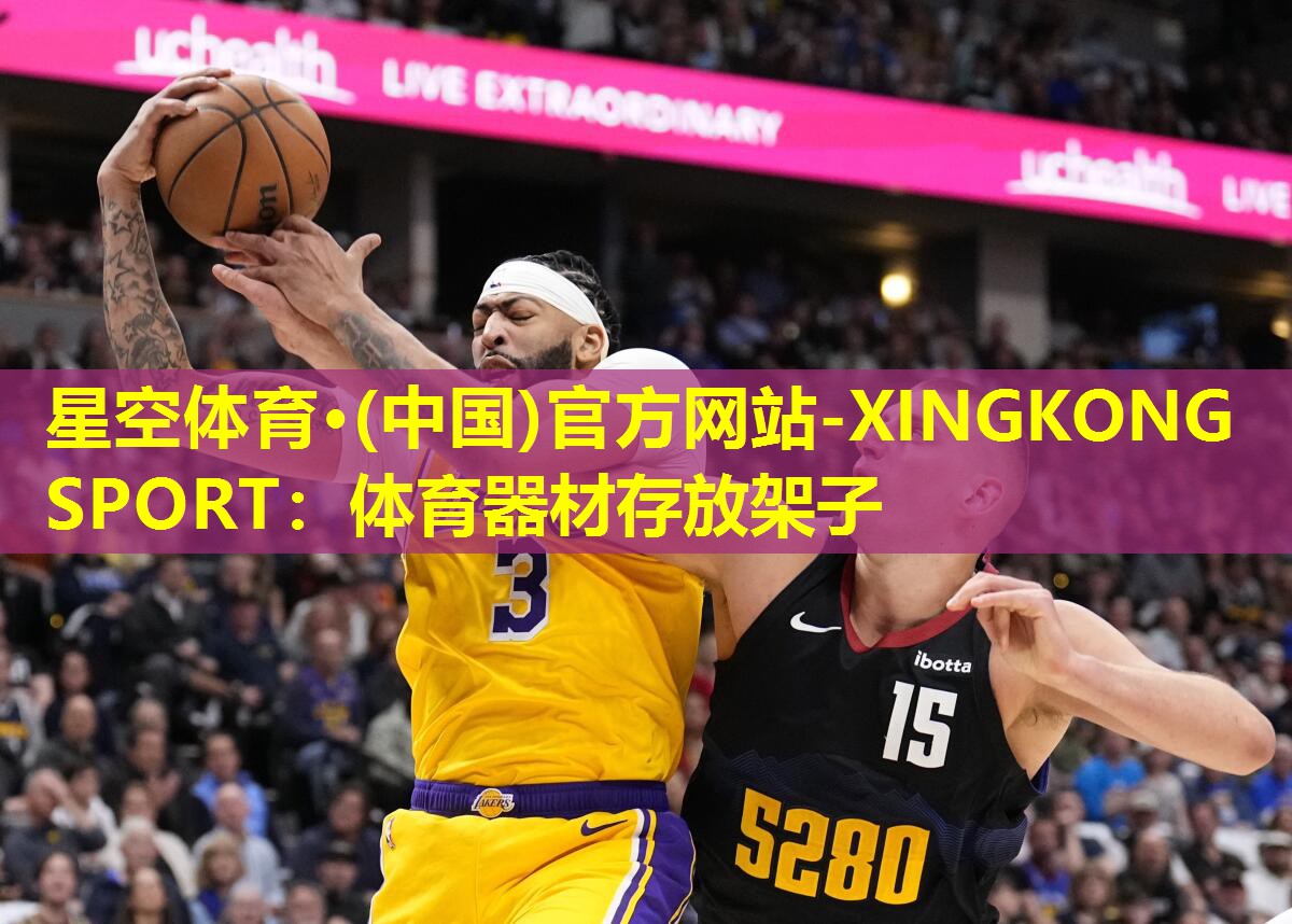 星空体育·(中国)官方网站-XINGKONG SPORT：体育器材存放架子