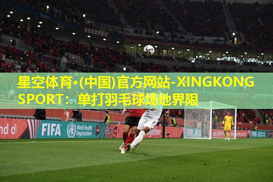 星空体育·(中国)官方网站-XINGKONG SPORT：单打羽毛球场地界限