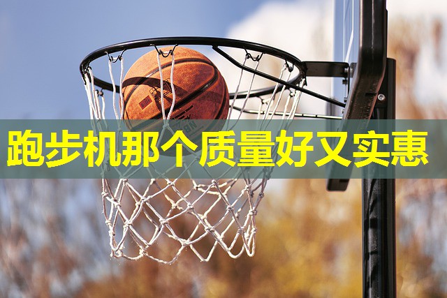 跑步机那个质量好又实惠