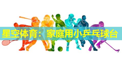 家庭用小乒乓球台 家庭用小乒乓球台